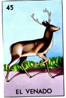 EL VENADO 45