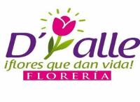 D´TALLE ¡FLORES QUE DAN VIDA! FLORERIA