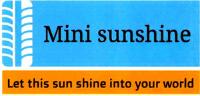 MINI SUNSHINE LET THIS SUN SHINE INTO YOUR WORLD