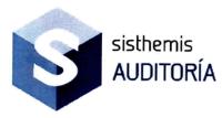 S SISTHEMIS AUDITORÍA