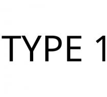 TYPE 1