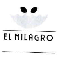 EL MILAGRO DE LOS OVNIS