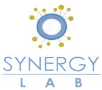 SYNERGY LAB