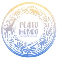 PLATO ONDO