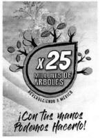 X25 MILLONES DE ARBOLES REVERDECIENDO A MEXICO ¡CON TUS MANOS PODEMOS HACERLO!