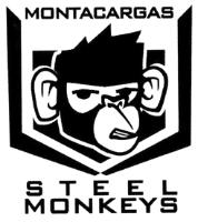 MONTACARGAS STEEL MONKEYS