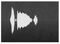 SONIDO DE LA PALABRA UJU