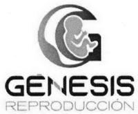 GÉNESIS REPRODUCCIÓN