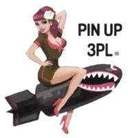 PIN UP