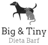 BIG & TINY