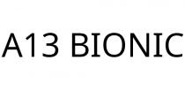A13 BIONIC