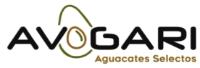 AVOGARI AGUACATES SELECTOS