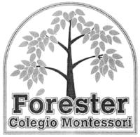 FORESTER COLEGIO MONTESSORI