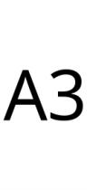 A3