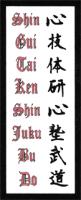 SHIN GUI TAI KENSHIN JUKU BUDO