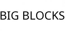 BIG BLOCKS