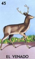 EL VENADO 45