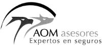AOM ASESORES EXPERTOS EN SEGUROS