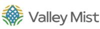 VALLEY MIST