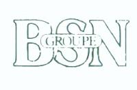 BSN GROUPE