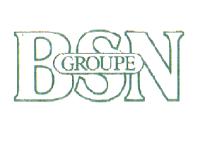 BSN GROUPE