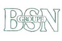 BSN GROUPE