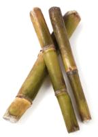 CHARANDA PUEBLO MAGICO