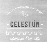 CERVEZA ARTESANAL YUCATECA CELESTÚN AMARICAN PALE ALE