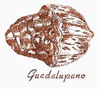 GUADALUPANO