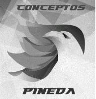 CONCEPTOS PINEDA