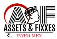 ASSETS & FIXXES INVER-MEX