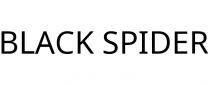 BLACK SPIDER