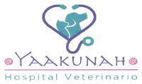 YAAKUNAH HOSPITAL VETERINARIO