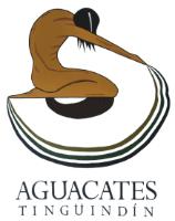 AGUACATES TINGÜINDÍN