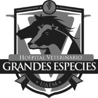 HOSPITAL VETERINARIO GRANDES ESPECIES (HVGE)