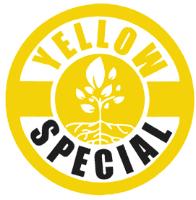 YELLOW SPECIAL