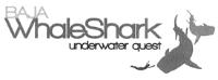 BAJA WHALE SHARK UNDERWATER QUEST