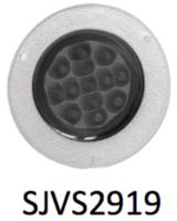 SJVS2919