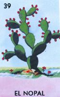 EL NOPAL 39