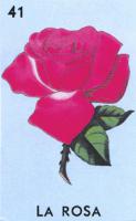 LA ROSA 41