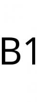 B1