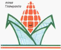 MINSA TLALNEPANTLA