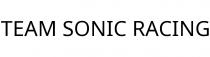TEAM SONIC RACING