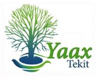 YAAX TEKIT
