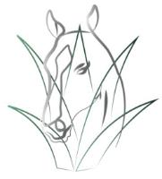 OTOMI
