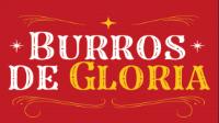BURROS DE GLORIA