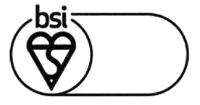 BSI
