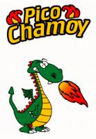 PICO CHAMOY