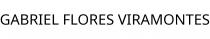 GABRIEL FLORES VIRAMONTES
