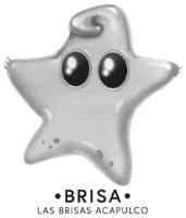 BRISA LAS BRISAS ACAPULCO